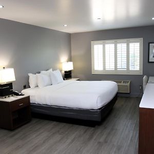One-Room Suite
