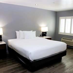 Large One Room King Suite